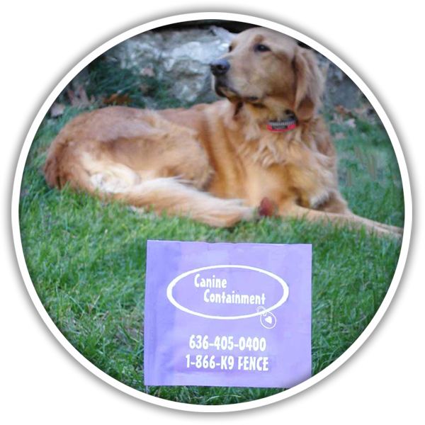 Placeholder - Dog Catches Something (600x600), Png Download