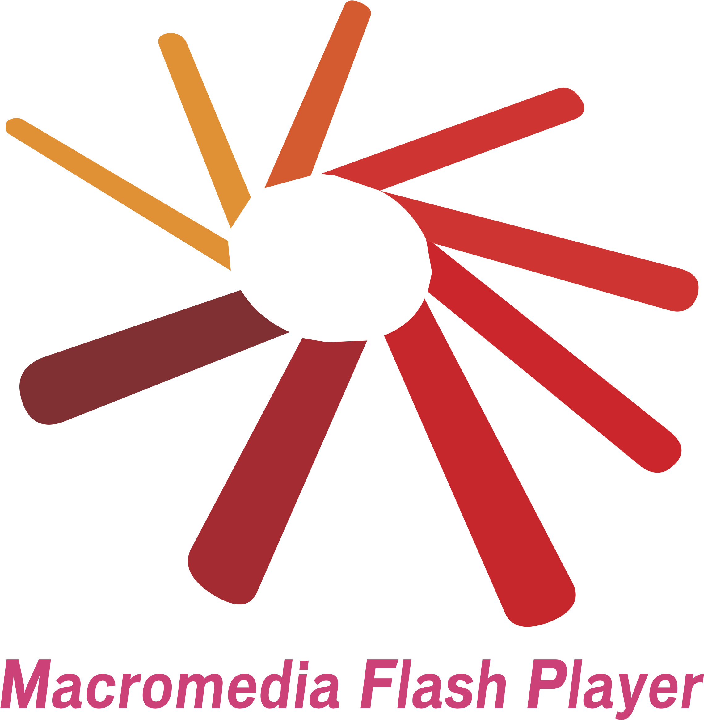 Macromedia Flash Player Logo Png Transparent - Macromedia Flash Player 2 Logo (2400x2400), Png Download