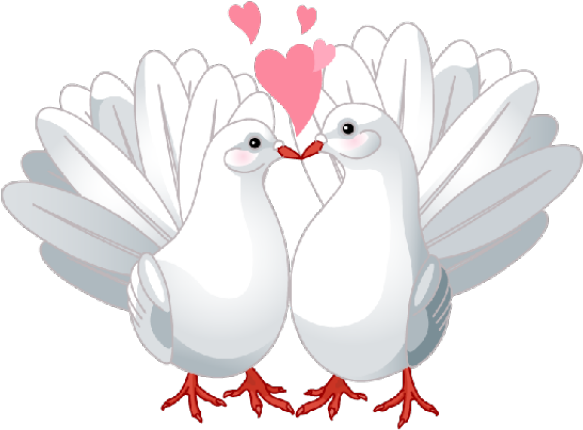 Lovebird Clipart Doves - Pigeons And Doves (640x480), Png Download