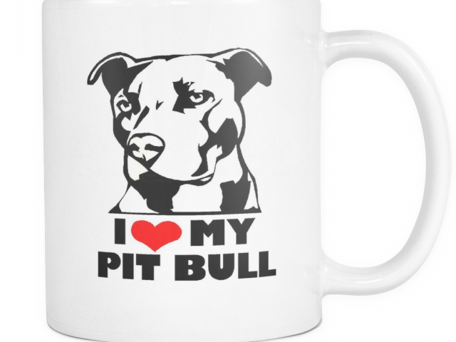 Drawn Pitbull Transparent - Dont Judge My Pitbull And I Wont Judge Your Kids (640x480), Png Download