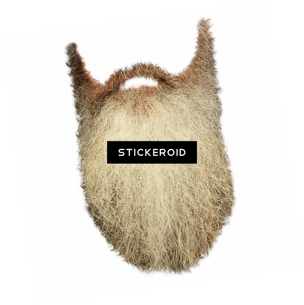 Beard (1218x1219), Png Download