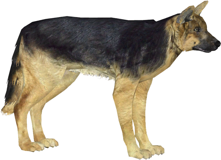 German Shepherd Dog 3 - German Shepherd (752x752), Png Download