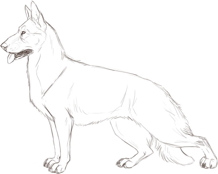 Germanshepherd - Line Art (1024x707), Png Download