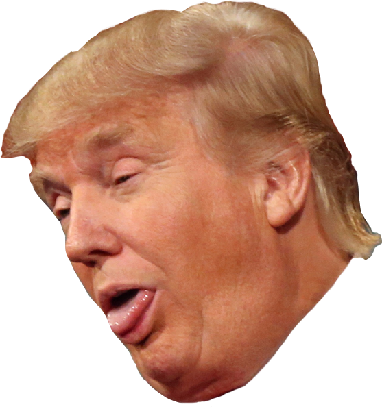 - Trumpbleh - - Donald Trump In Bollywood (557x597), Png Download