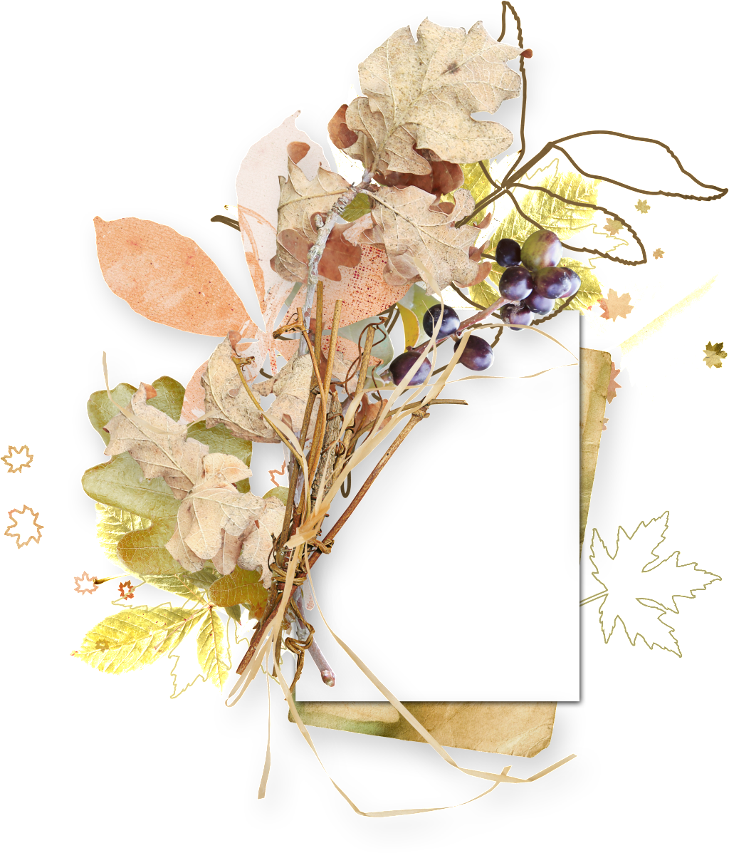 Autumn Leaf Border - Bouquet (1024x1197), Png Download