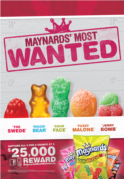 Interacting With Our Tsas Did More Than Launch The - Maynards Most Wanted (580x574), Png Download