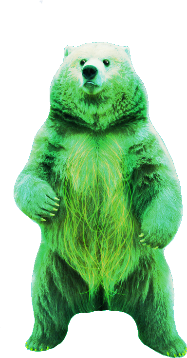 370kib, 526x768, Gummy Bear - Teddy Bear (526x768), Png Download
