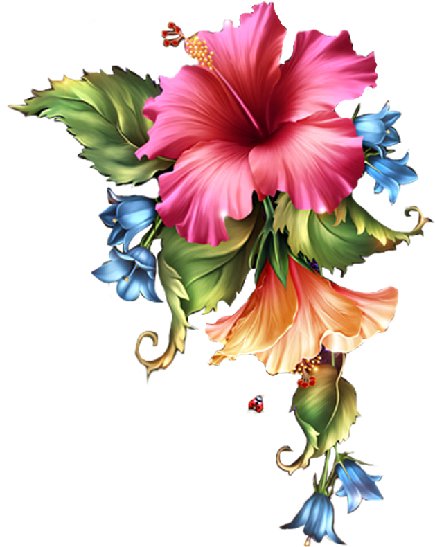 0 C324f B58eb52f Orig - Imagens Sem Fundo De Flores (650x844), Png Download