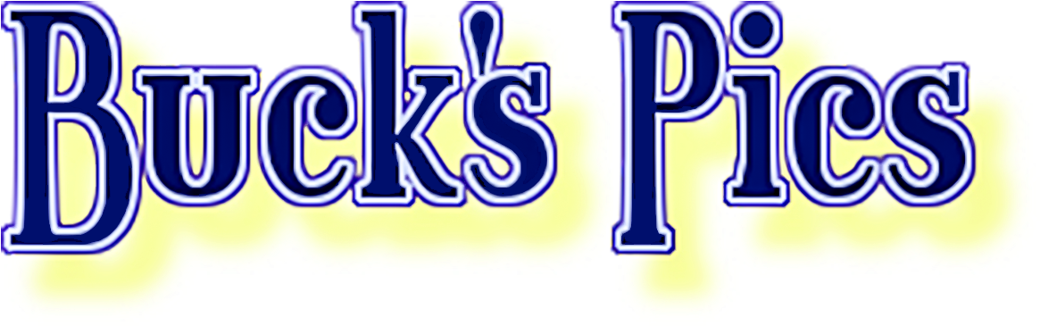 All The Photos On This Page And Many More, Can Be Found - Sports (1258x476), Png Download