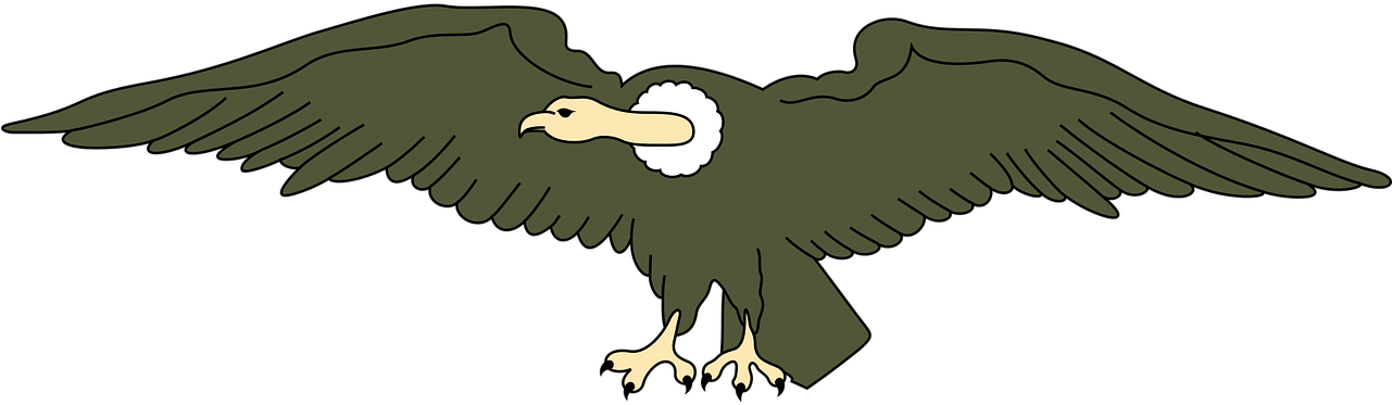 Andean Animal Bird Condor Png Image - Ecuador Flag (1280x640), Png Download