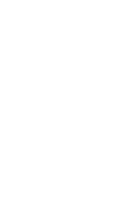 Are You A Professional Advisor - Hot Air Balloon (514x850), Png Download