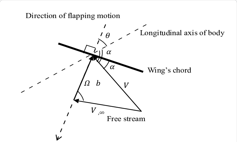 Lateral View Of The Dragonfly - Triangle (761x456), Png Download