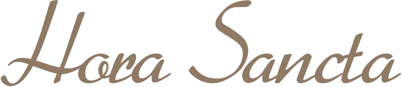 Navigation - Hora Santa (1384x300), Png Download