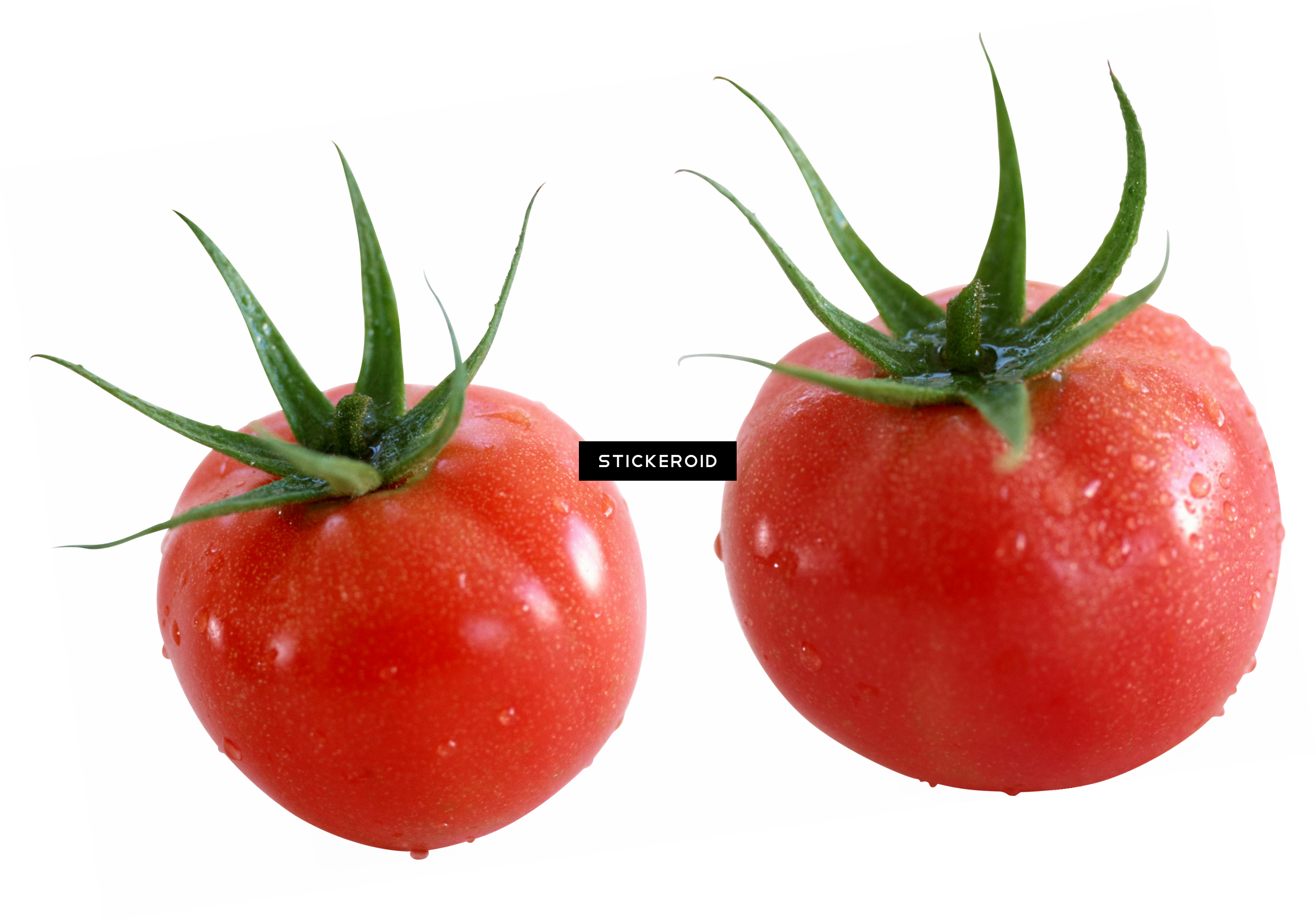 Tomato (3003x2106), Png Download
