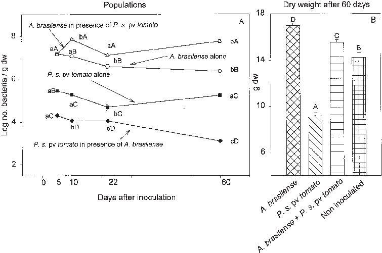 Sizes Of P - Diagram (755x501), Png Download
