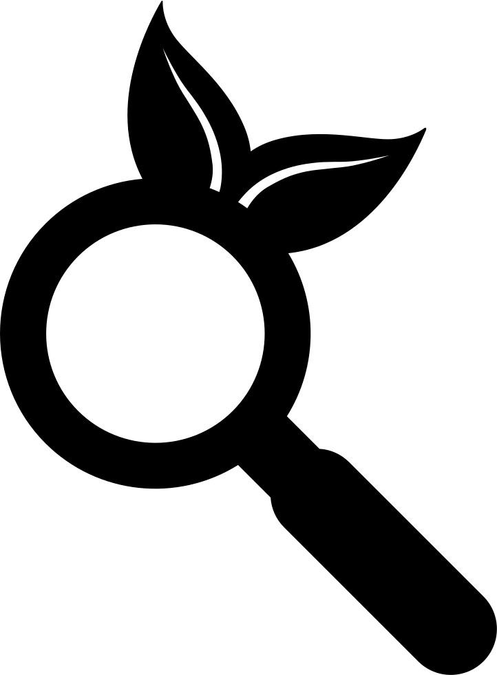 Png File Svg - Magnifying Glass (722x981), Png Download