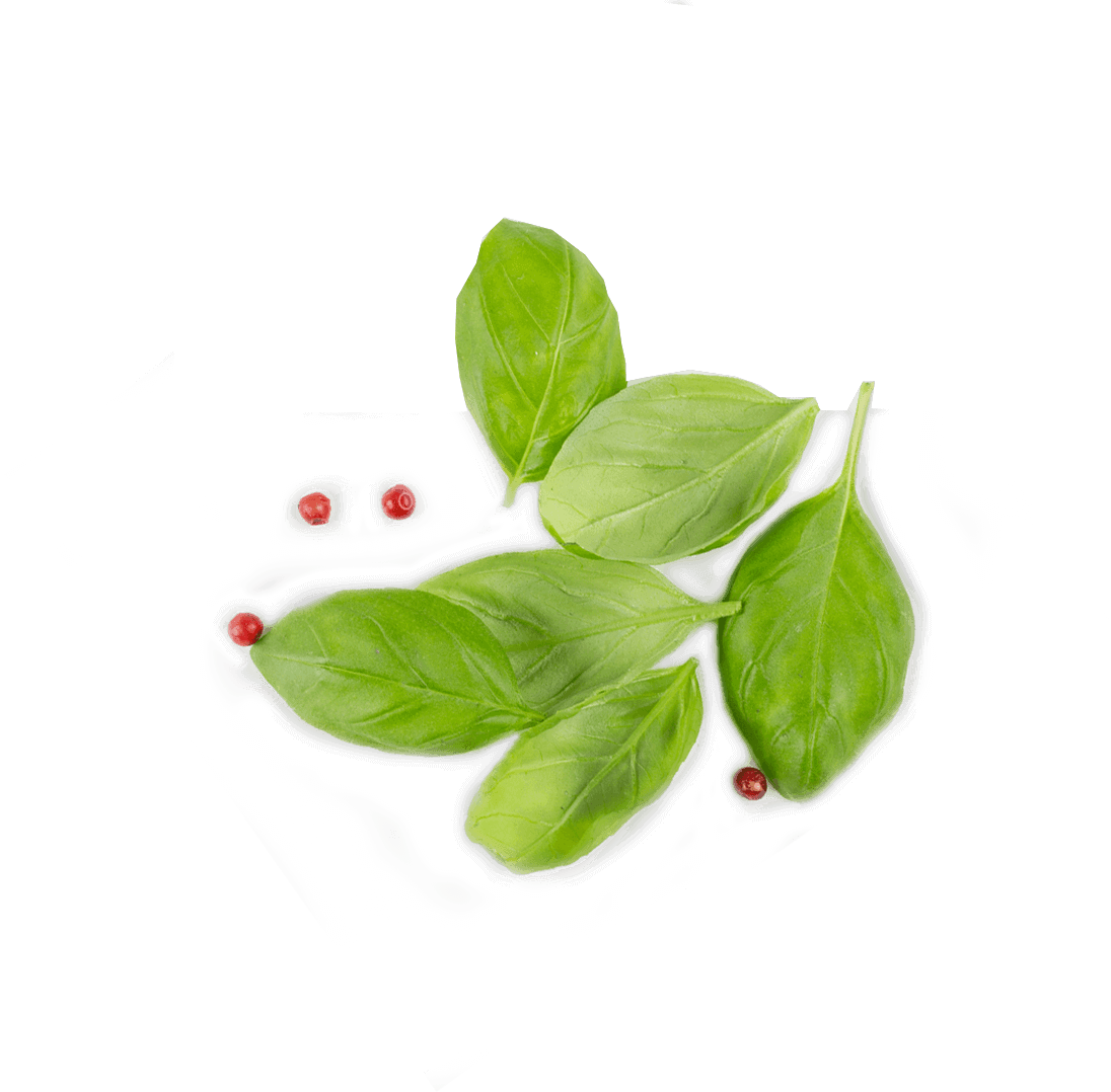 Tip Gallery - Leaf Top View Png (1096x1078), Png Download