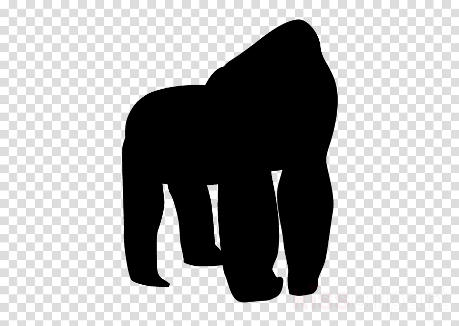 Clipart Resolution 640*640 - White Letter O With Transparent (900x640), Png Download