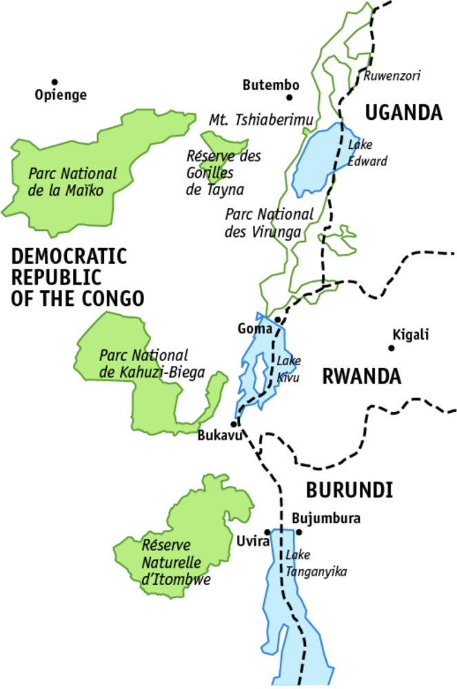 Grauer's Gorilla - Angela Meder (663x1000), Png Download