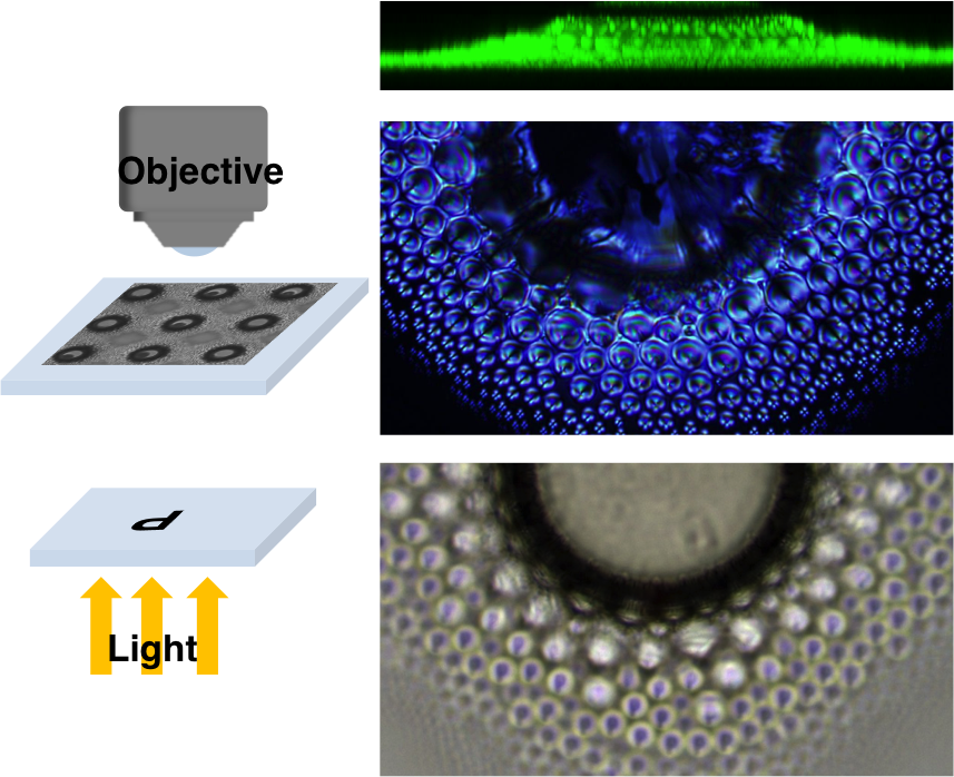 Lee-fabrication Of Magnetic Particles - Magnet (857x698), Png Download