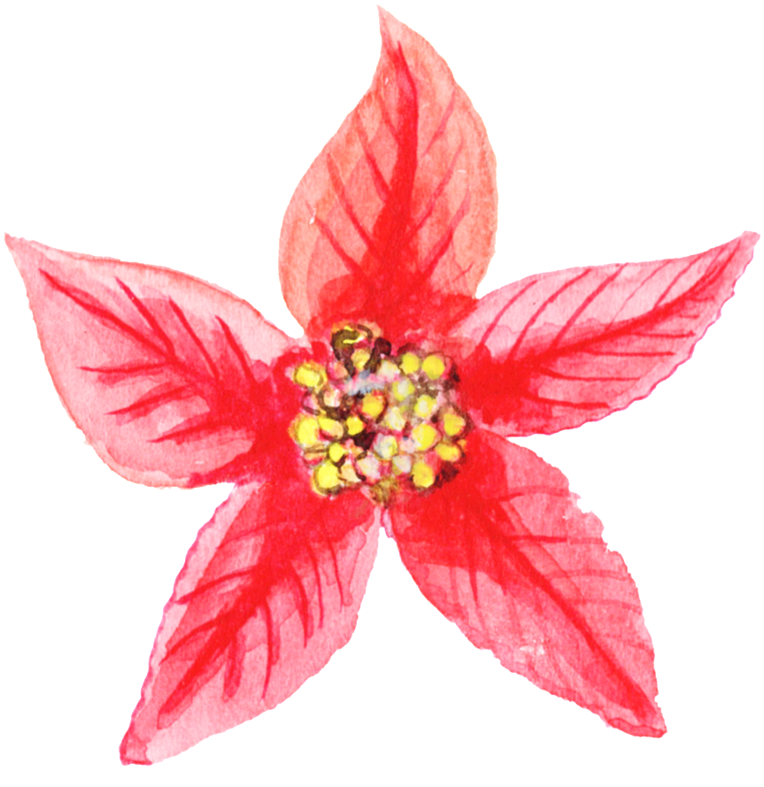 Red Pattern Flower Christmas Png Transparent - Gold Star Png (1024x1037), Png Download