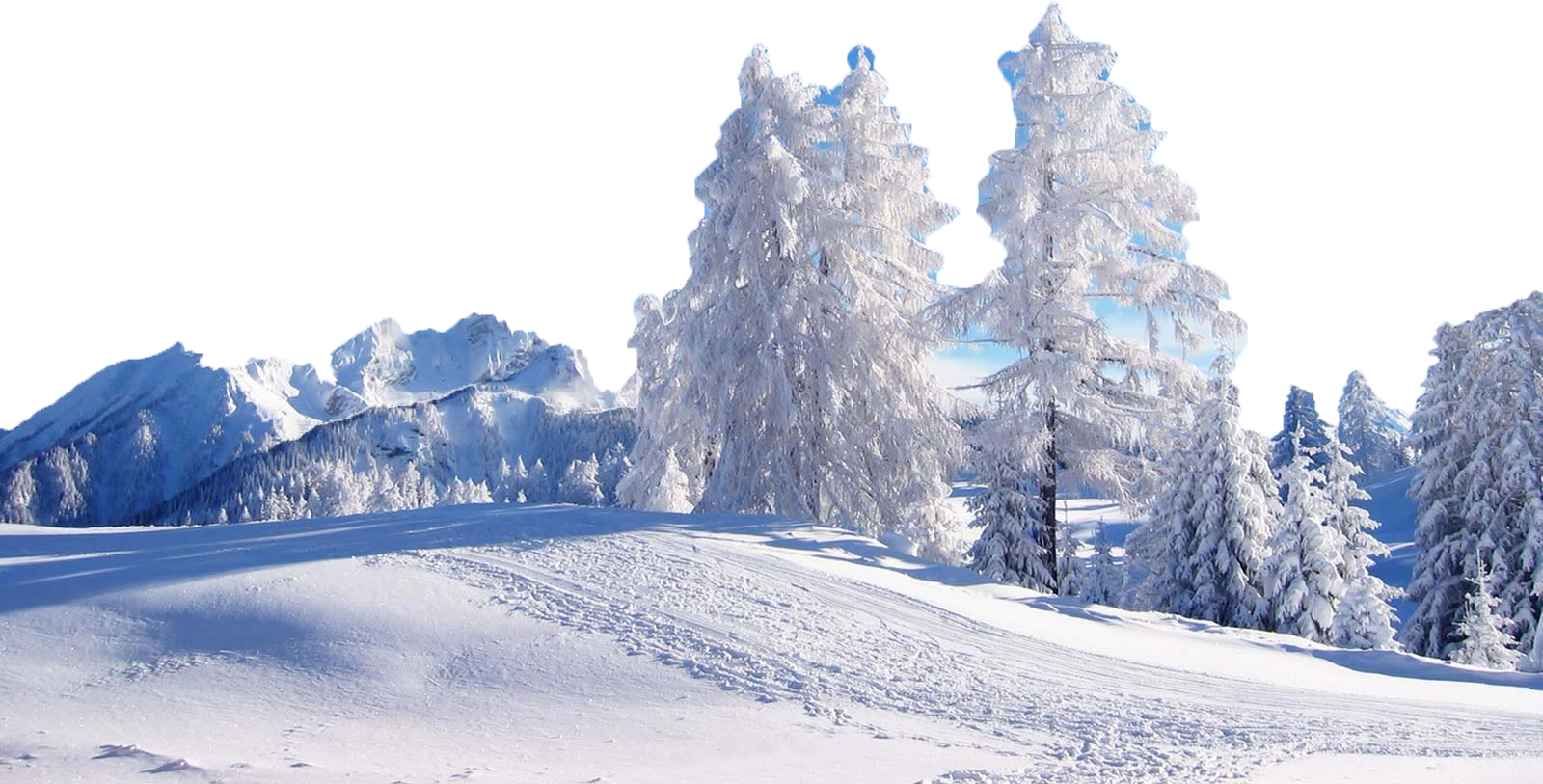 4shared - Com - Winter Scenes (1600x813), Png Download