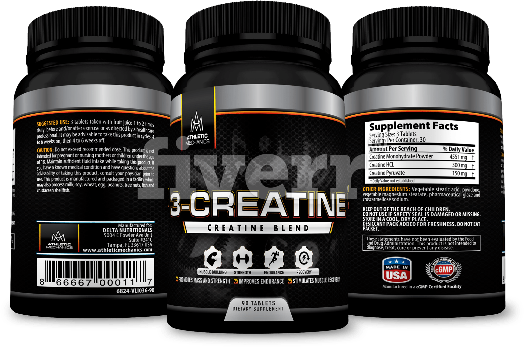 Fungus (2169x1580), Png Download