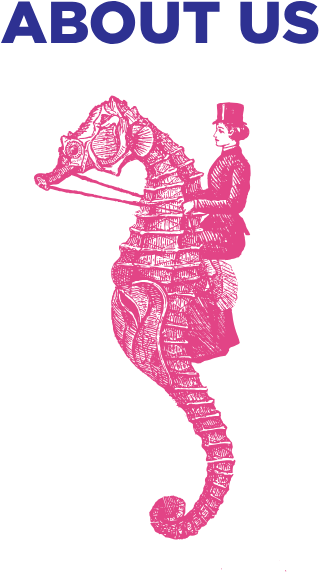 The Pelican Has Long Been A Symbol That Holds Great - Northern Seahorse (960x960), Png Download