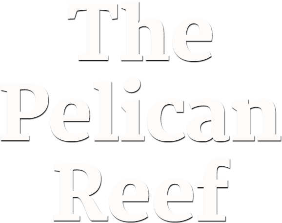 Pelican Reef - American Academy Of Diplomacy (600x540), Png Download