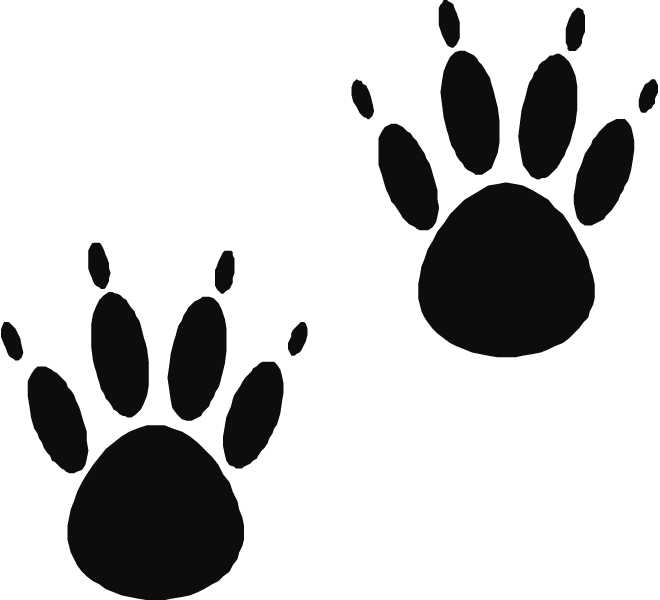 Free Ryan Cliparts Download Free Clip Art Free Clip - Paw Prints (660x600), Png Download