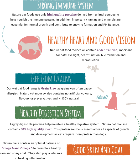 Health Benefits - Health Benefits Of Cats (587x670), Png Download