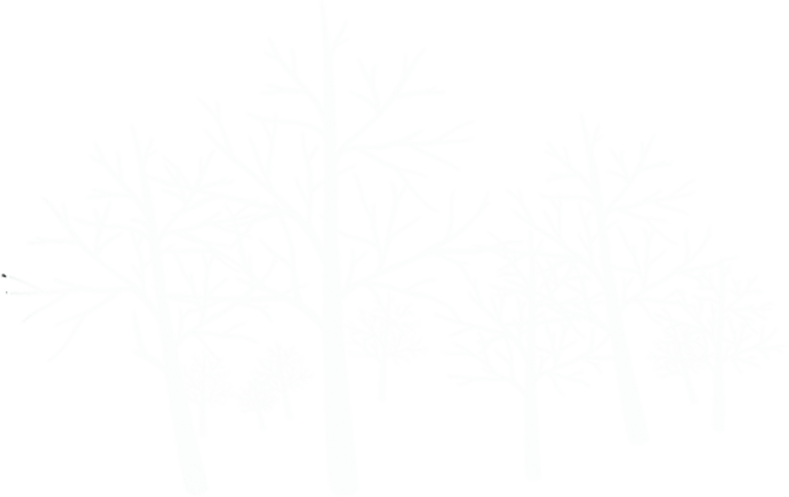 Winter Snow Png - Tree (1542x972), Png Download