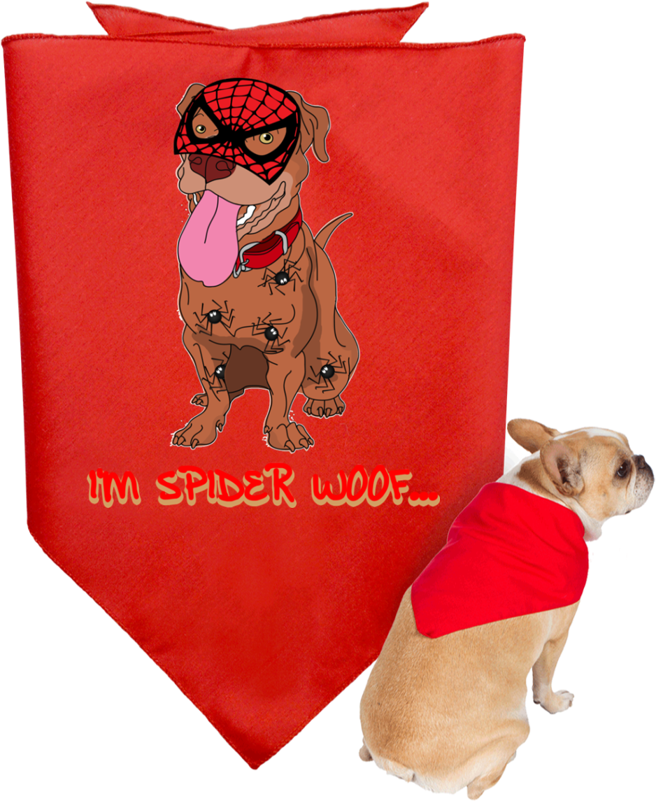 I'm Spider Woof Pitbull Doggy Bandanas - Customcat 3905 Doggie Bandana (1155x1155), Png Download