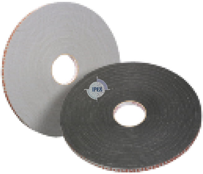 Cedar Wood (1024x768), Png Download