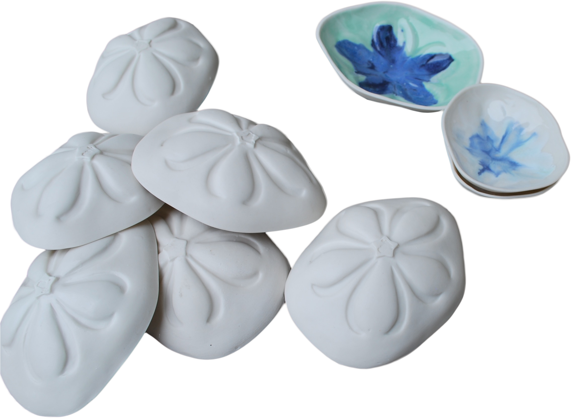 Sea Biscuit Bowl - Hydrangea (2320x1824), Png Download