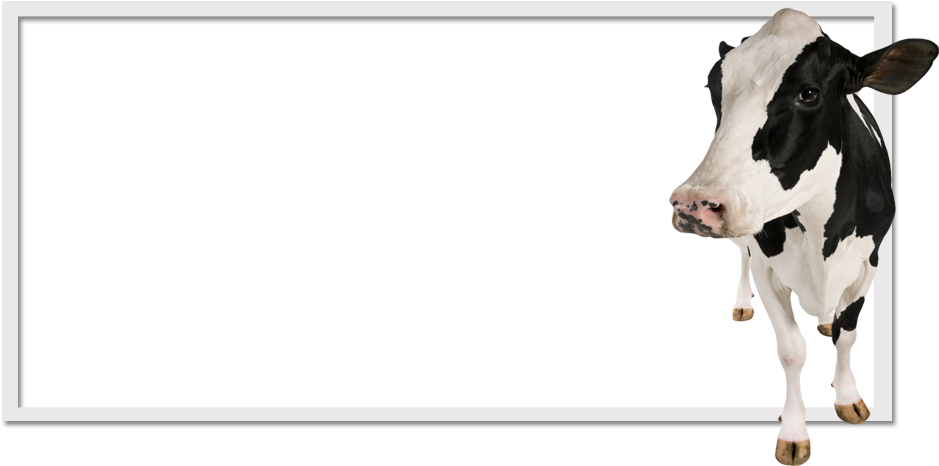 High Quality Milk Powder - Truth About The Food Supply (980x470), Png Download