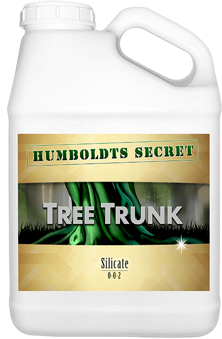 Tree Trunk [tree Trunk] - Bottle (496x709), Png Download