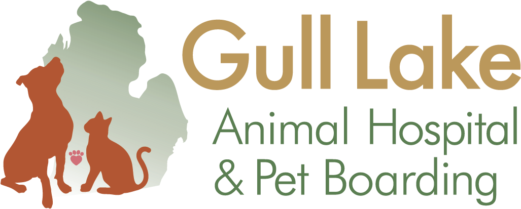 Veterinarians Richland Michigan - Plano Nacional De Leitura (1079x457), Png Download