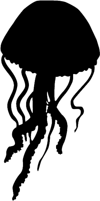 Jellyfish Png, Download Png Image With Transparent - Jellyfish Silhouette Clip Art (400x791), Png Download
