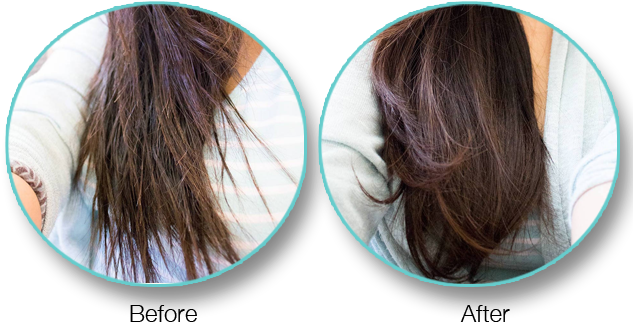 You Will Obtain Superior Results - Hair (640x480), Png Download