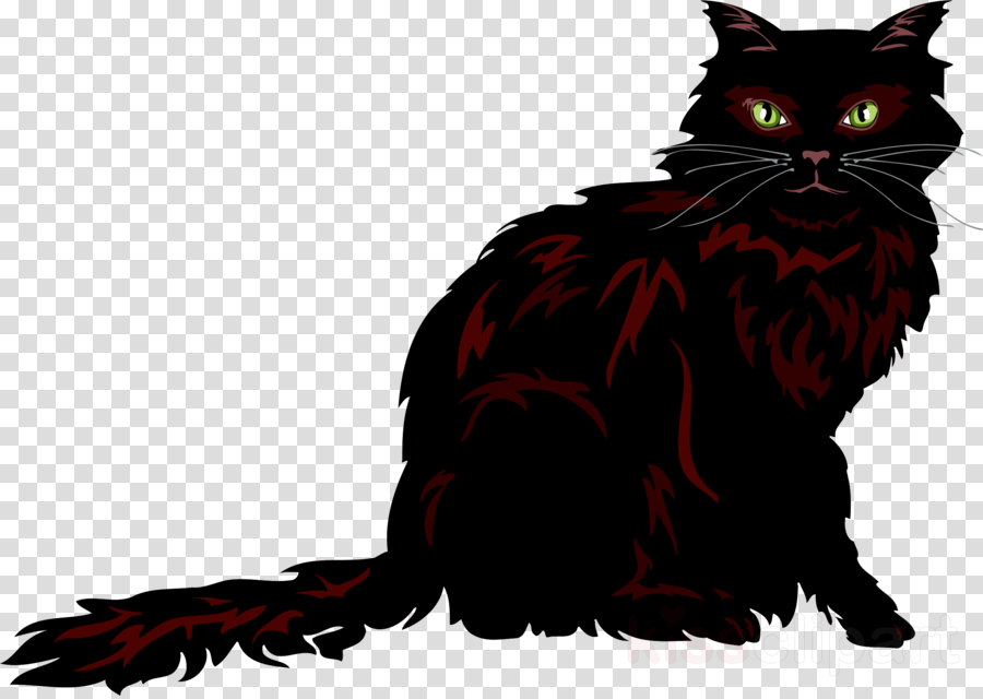 Cat Clipart Black Cat Siamese Cat Ragdoll - Round Image With Transparent Background (900x640), Png Download