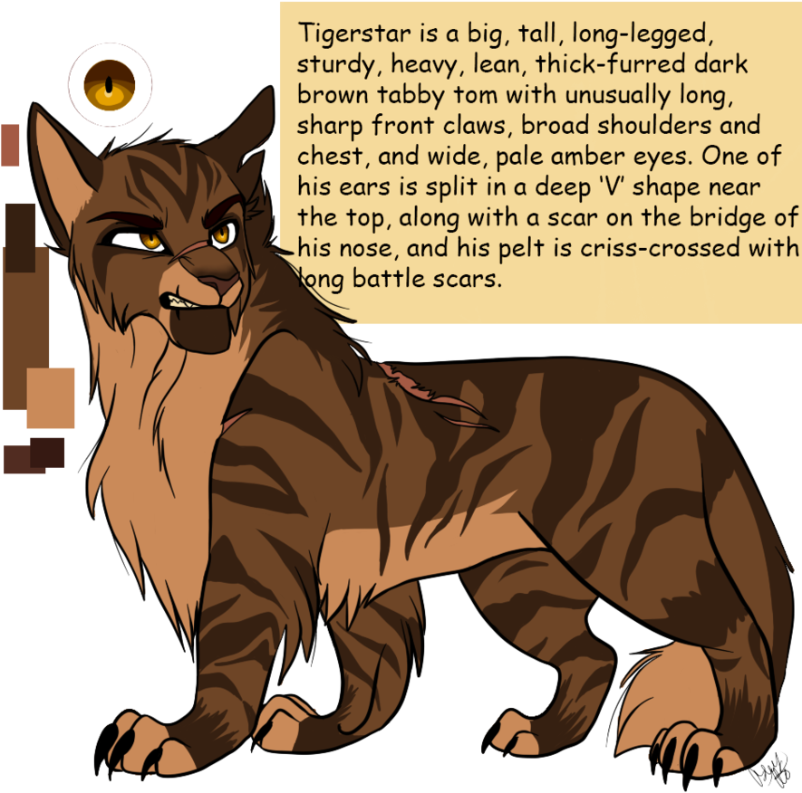 Cat With Broad Shoulders (894x894), Png Download