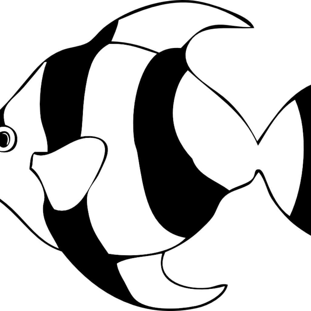 8 Images Of Fish Clipart Black And White Pineapple - Angel Fish Clipart Black And White (1024x1024), Png Download