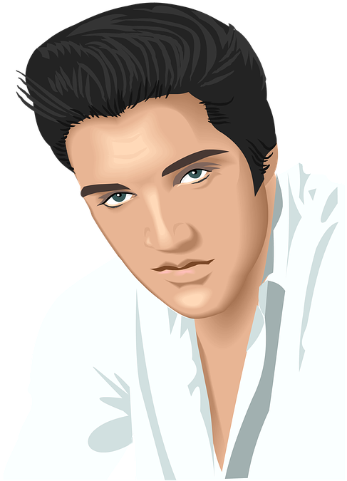 Elvis, Presley, Musician, Elvis Presley, Singer, Adult - Elvis Presley (567x720), Png Download