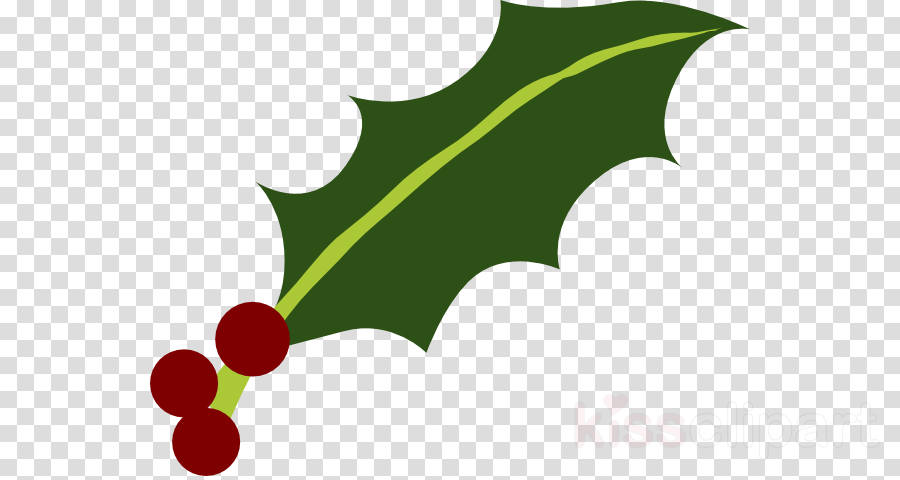 Download Holly Leaf Png Clipart Common Holly Yaupon - Holly Cartoon Christmas Png (900x480), Png Download