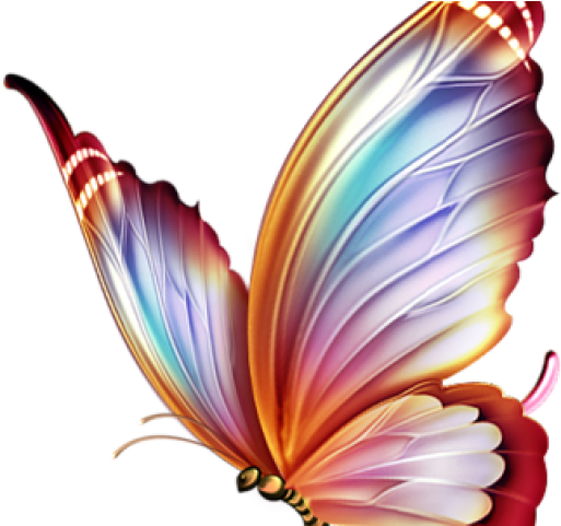 Butterfly Tattoo Designs Png Transparent Images - Colour Pencil Drawings Of Butterfly (640x480), Png Download
