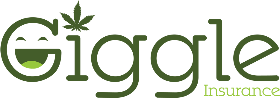 Get Your Washington Term Life Insurance Quote Today - Giggle Insurance (1000x393), Png Download