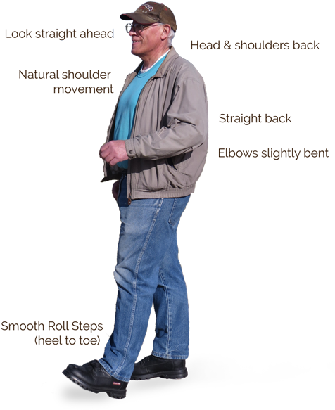Photo Diagram Of A Man Walking With Captions - Standing (500x637), Png Download