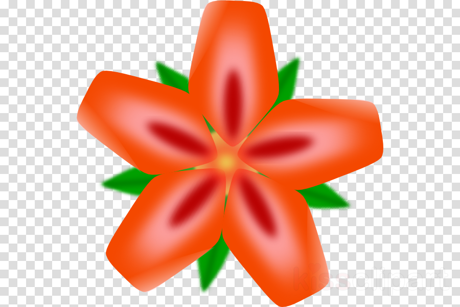 Download Tropical Flowers In Cartoon Clipart Clip Art - Pedo Bear (900x600), Png Download