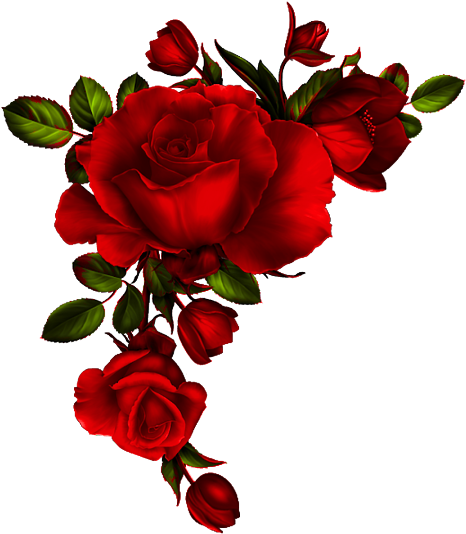 Roses 2 - Page - Red Roses Watercolor Png (525x600), Png Download